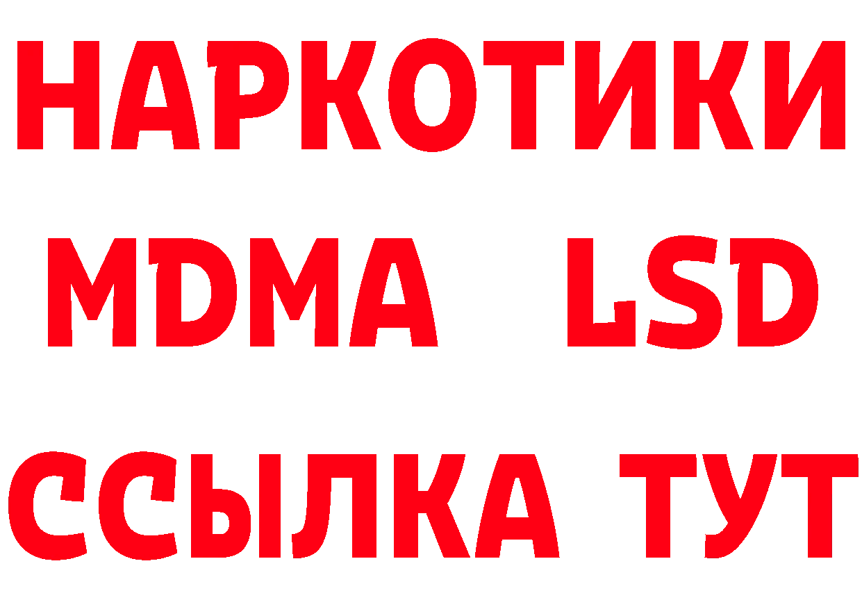 Купить закладку площадка состав Дно